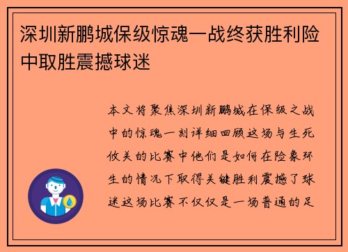 深圳新鹏城保级惊魂一战终获胜利险中取胜震撼球迷